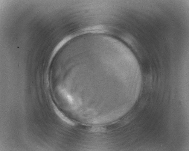 X0000081591466200701291307