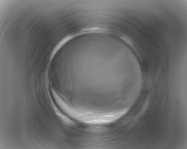 X0000081591474200701291306