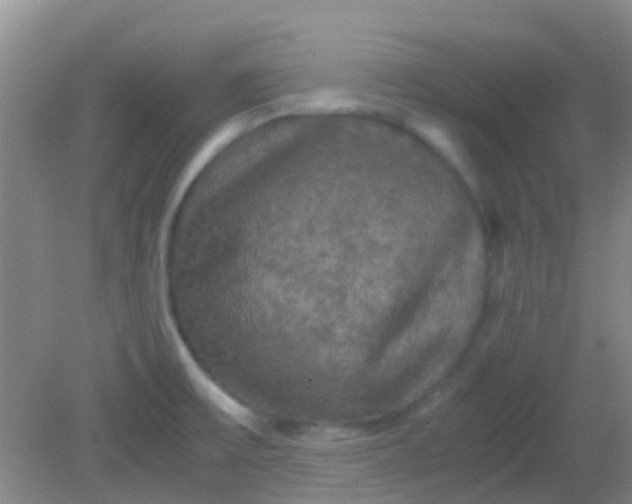X0000081591475200701291306