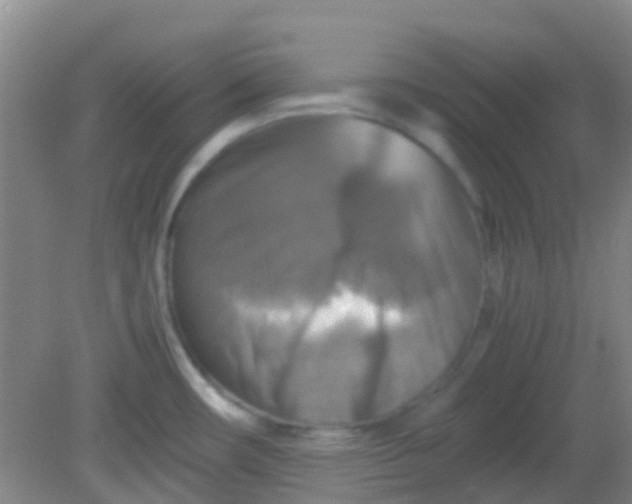 X0000081591482200701291306