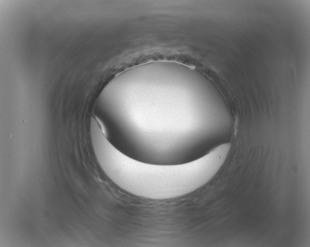 X0000081591492200701291305
