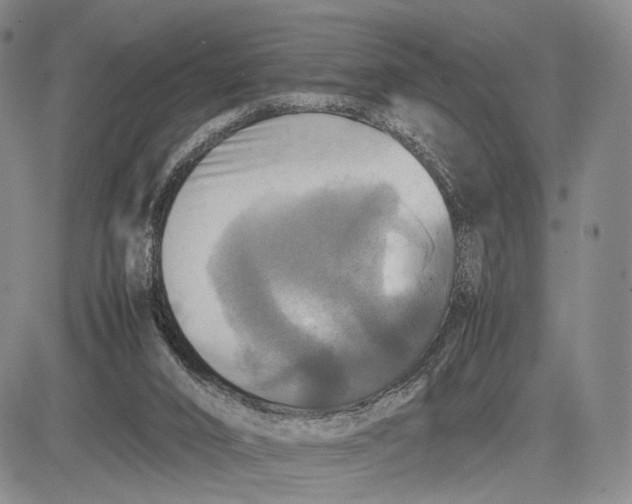 X0000081590016200702051315