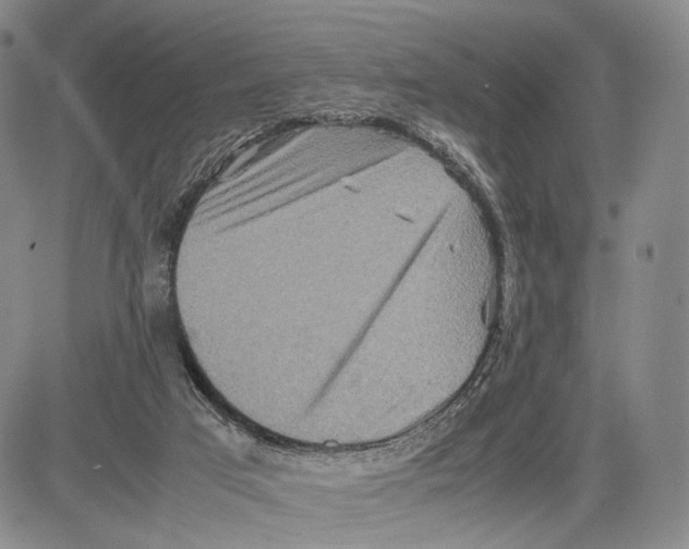 X0000081590017200702051315