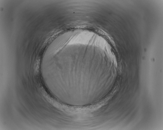 X0000081590018200702051315