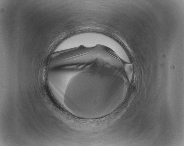 X0000081590023200702051315