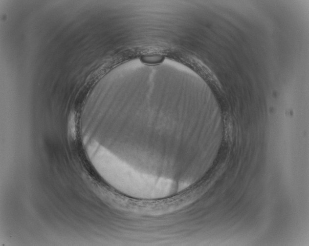 X0000081590026200702051315