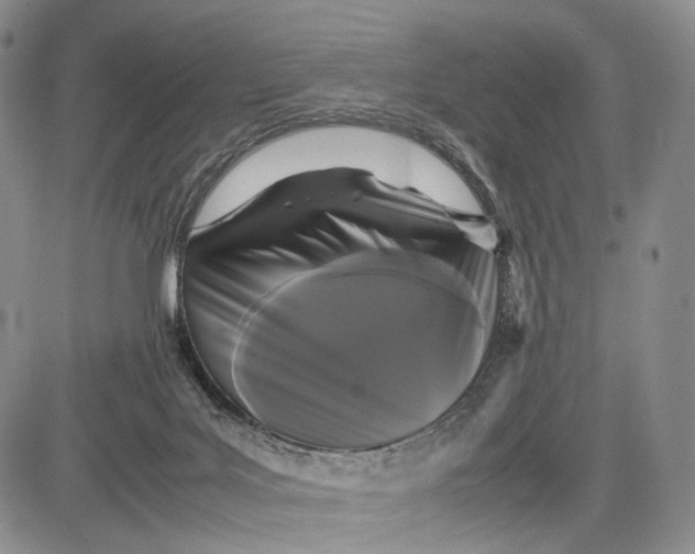 X0000081590027200702051315