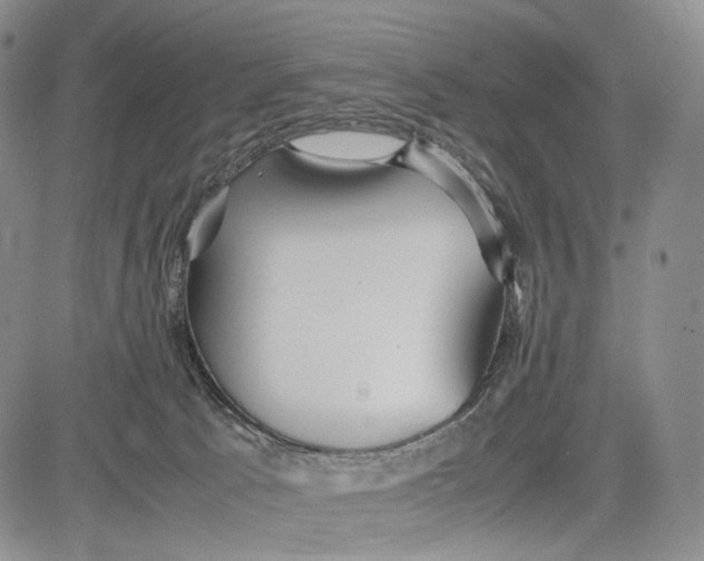 X0000081590033200702051315
