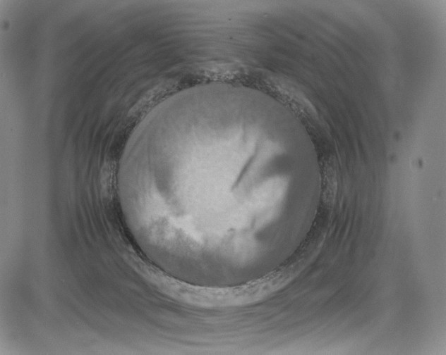 X0000081590034200702051315