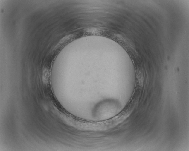 X0000081590036200702051315