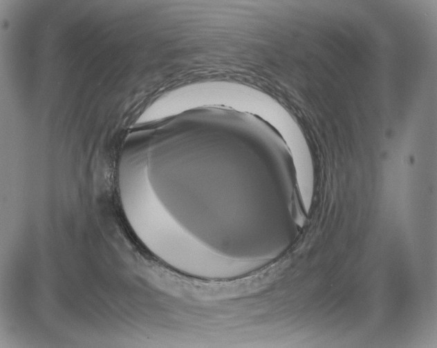 X0000081590039200702051315