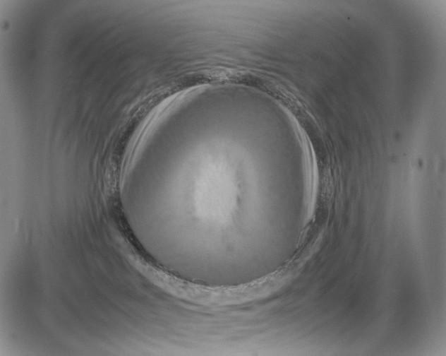 X0000081590043200702051315