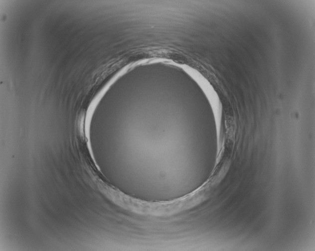 X0000081590047200702051315