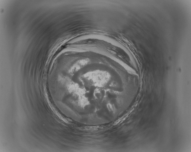 X0000081590049200702051314