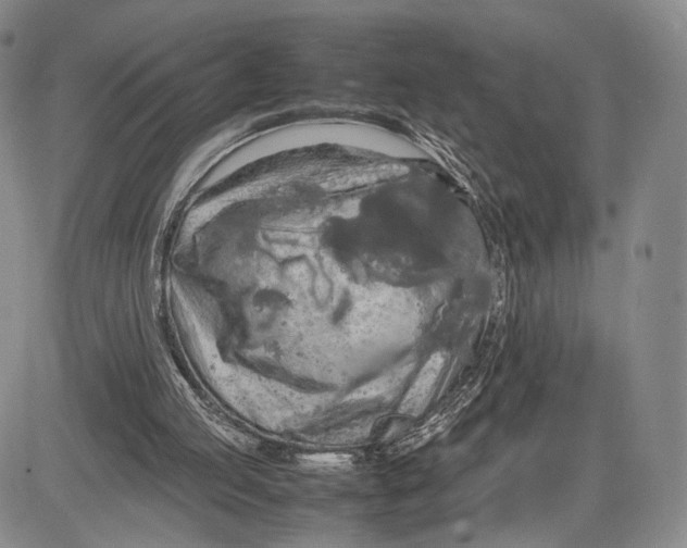 X0000081590053200702051314