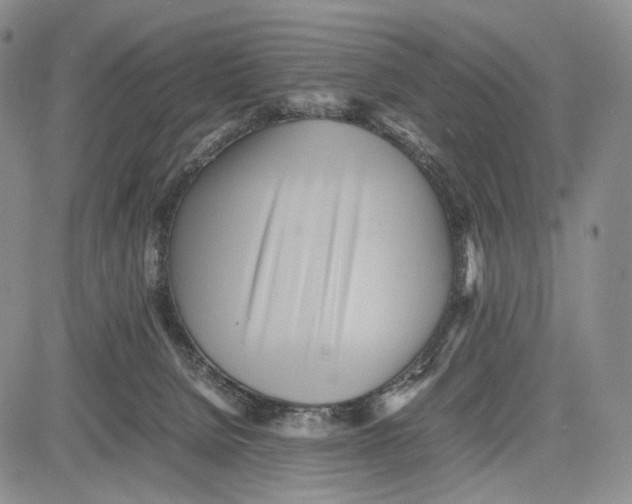 X0000081590080200702051315