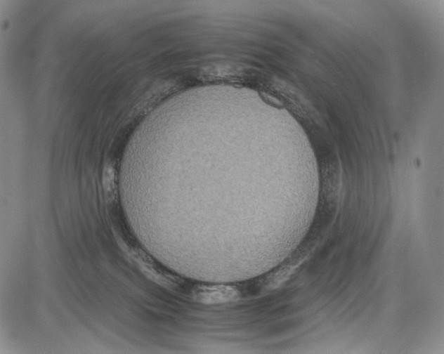 X0000081590087200702051315