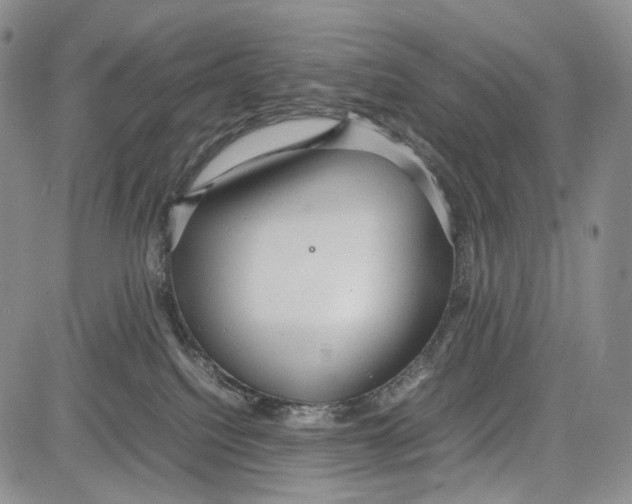 X0000081590088200702051315
