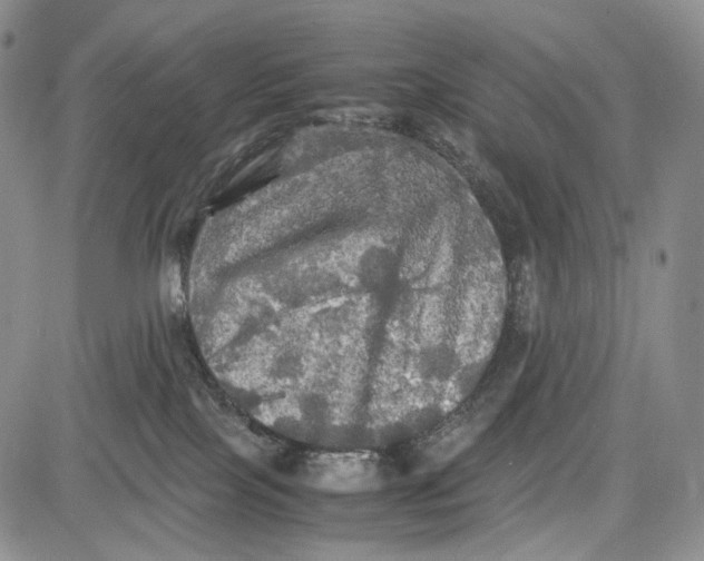 X0000081590089200702051315