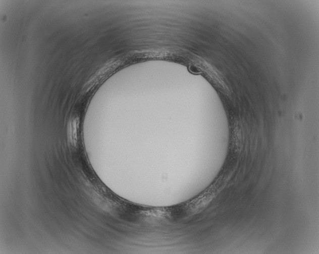 X0000081590118200702051314