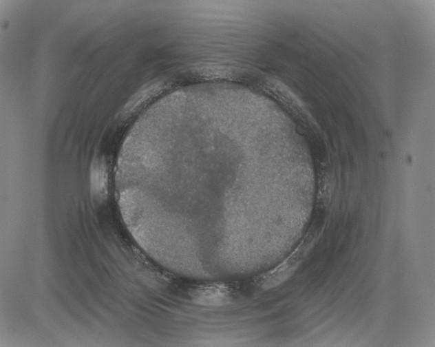 X0000081590124200702051314