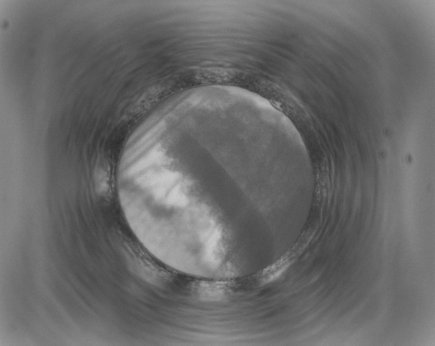 X0000081590134200702051314