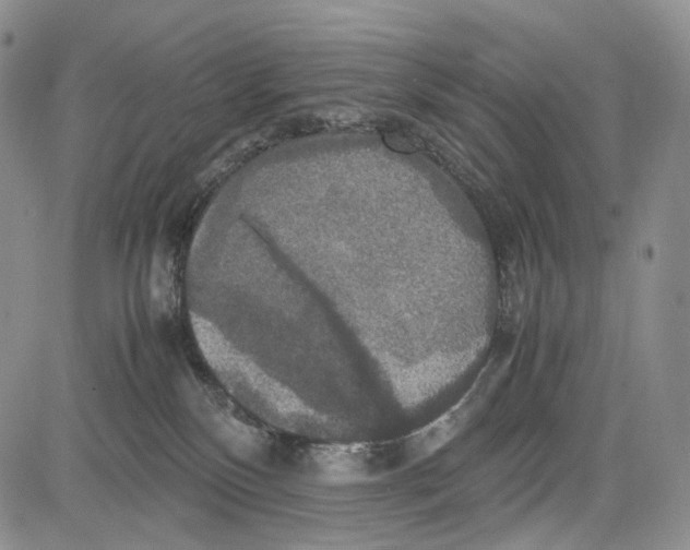 X0000081590136200702051314
