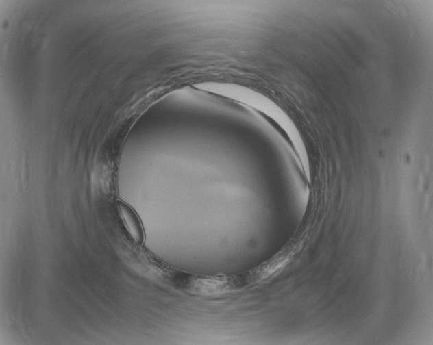 X0000081590139200702051313
