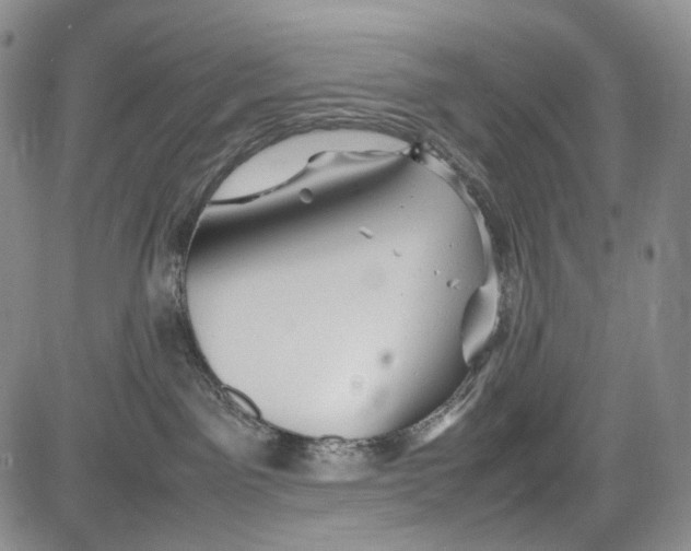 X0000081590141200702051313