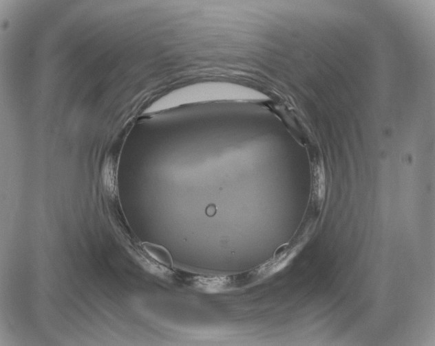 X0000081590143200702051313