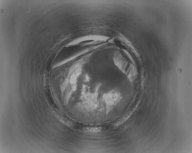 X0000081590161200702051313