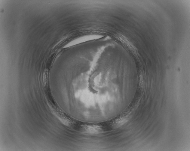 X0000081590165200702051313