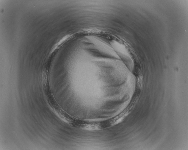 X0000081590168200702051313