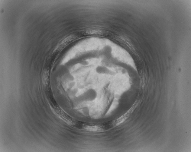X0000081590171200702051313