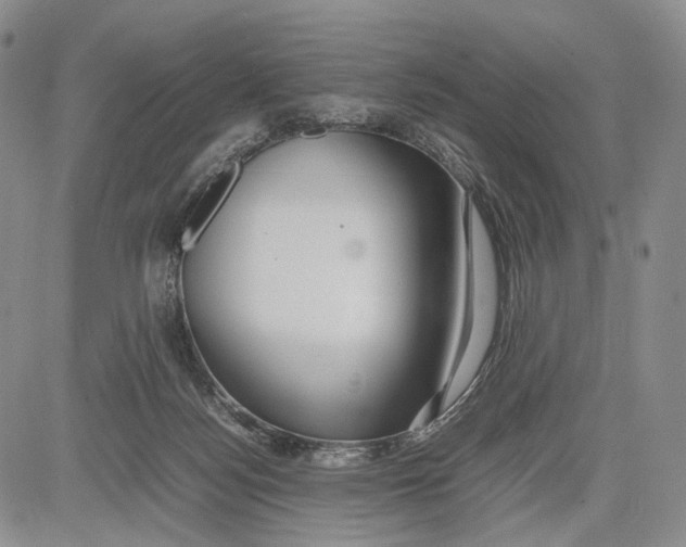 X0000081590172200702051313