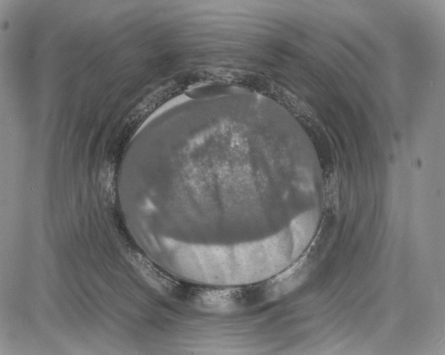 X0000081590178200702051313