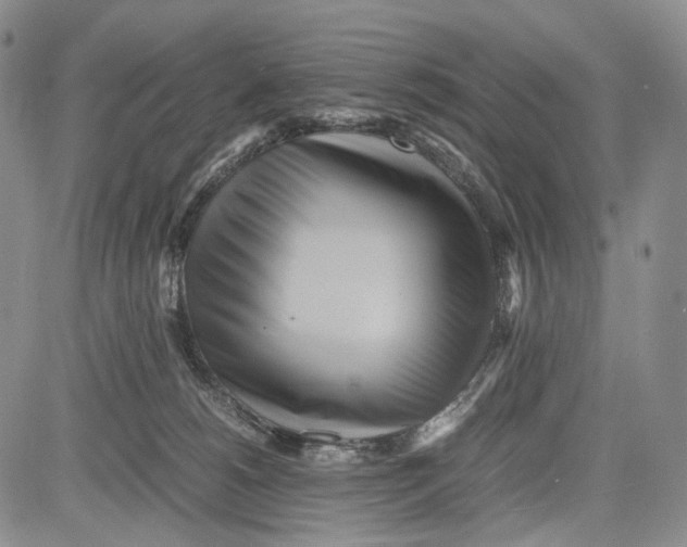 X0000081590180200702051313