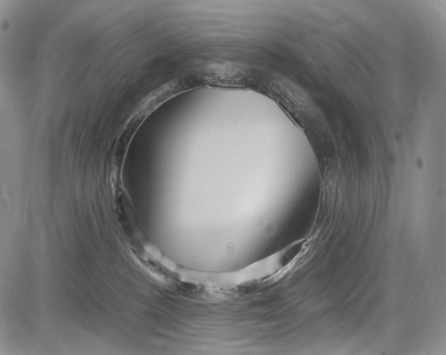 X0000081590188200702051313
