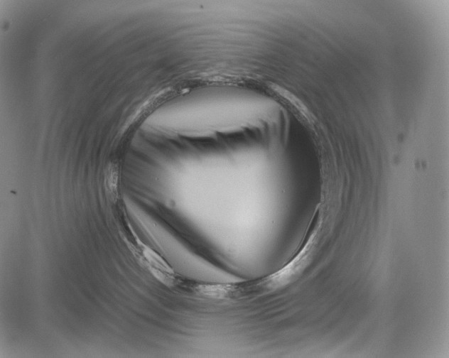 X0000081590192200702051313
