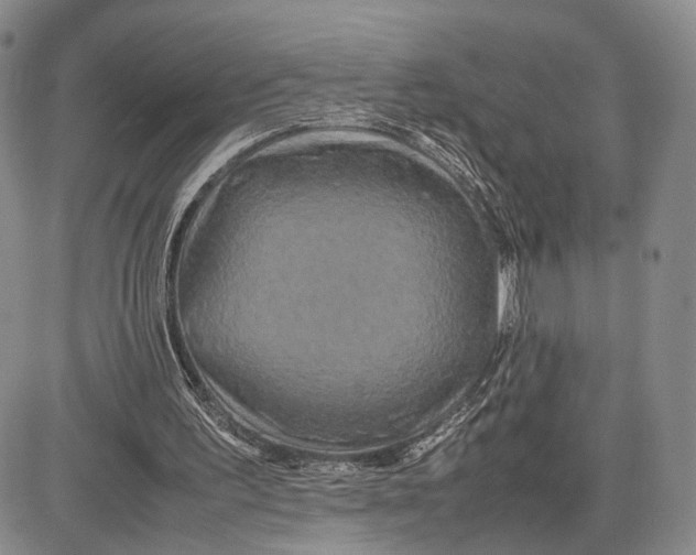 X0000081590195200702051313