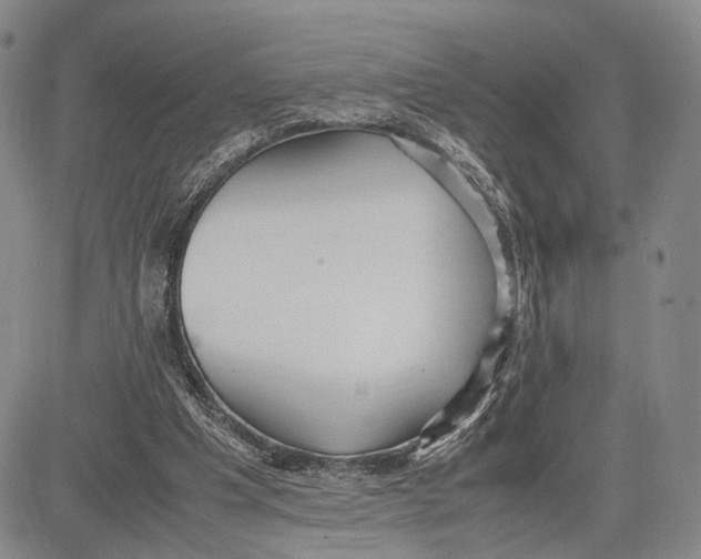 X0000081590201200702051312