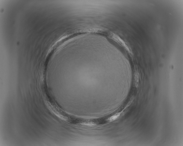 X0000081590203200702051312