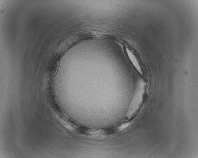 X0000081590221200702051312