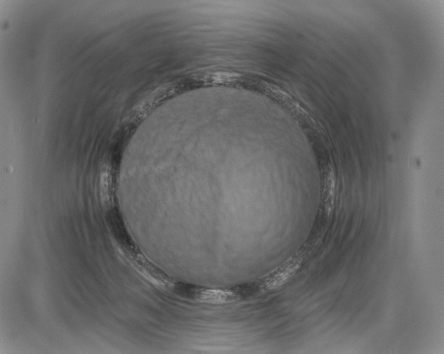 X0000081590222200702051312