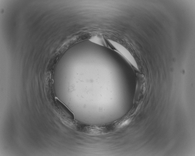 X0000081590229200702051312