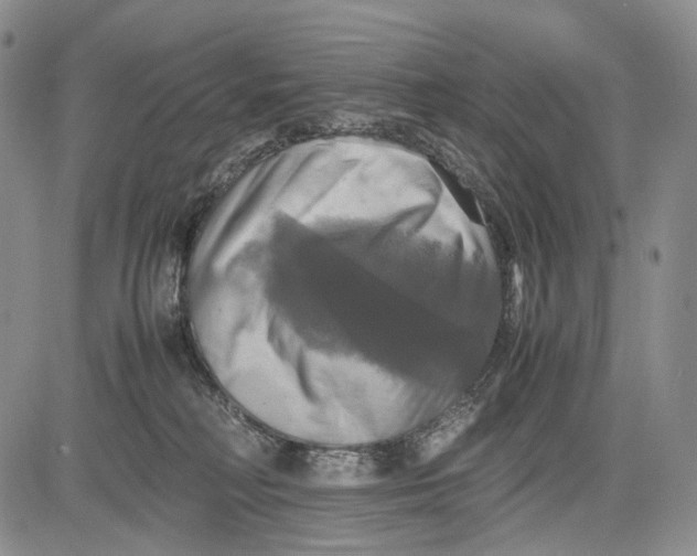 X0000081590230200702051312