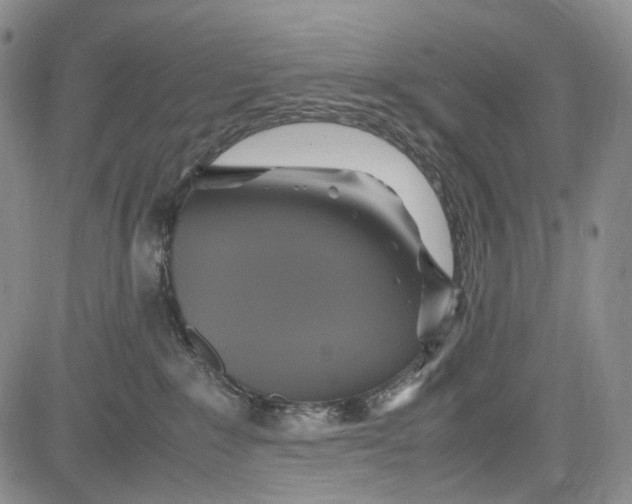 X0000081590235200702051312