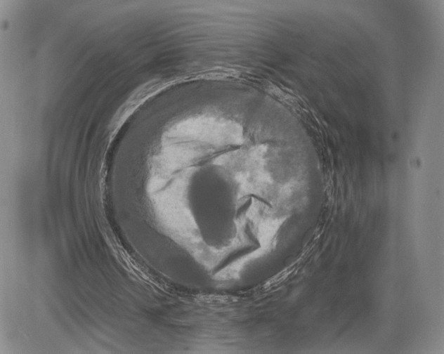 X0000081590242200702051311