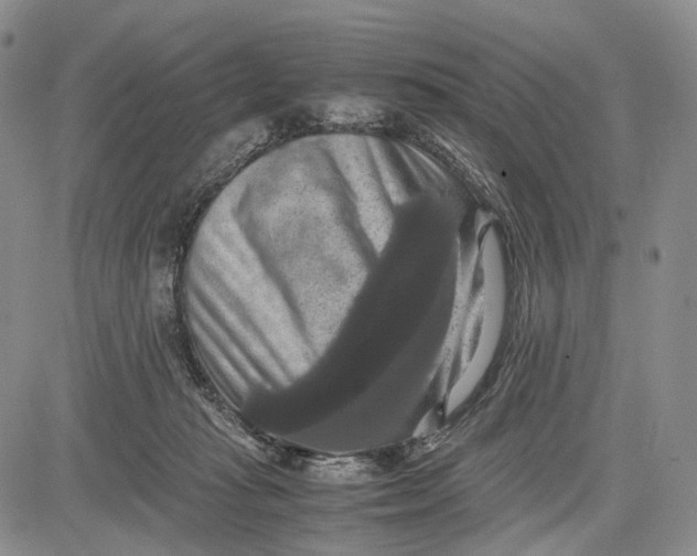 X0000081590269200702051311