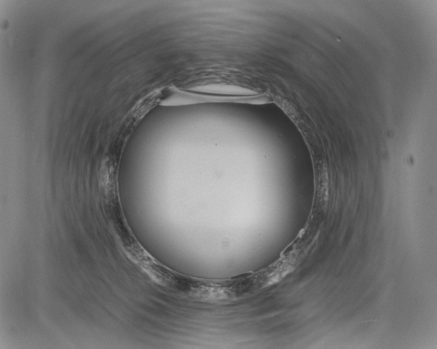 X0000081590276200702051311
